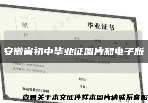 安徽省初中毕业证图片和电子版缩略图