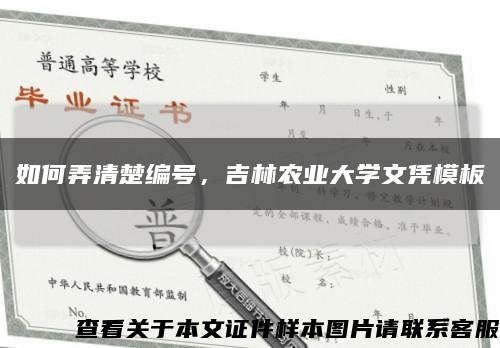 如何弄清楚编号，吉林农业大学文凭模板缩略图