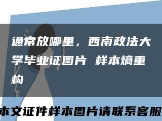通常放哪里，西南政法大学毕业证图片 样本熵重构缩略图