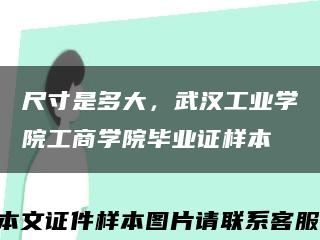 尺寸是多大，武汉工业学院工商学院毕业证样本缩略图