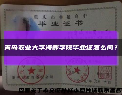 青岛农业大学海都学院毕业证怎么问？缩略图