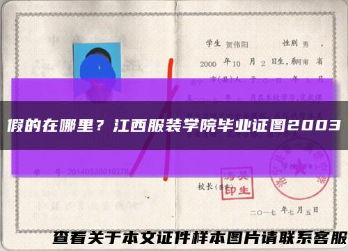 假的在哪里？江西服装学院毕业证图2003缩略图