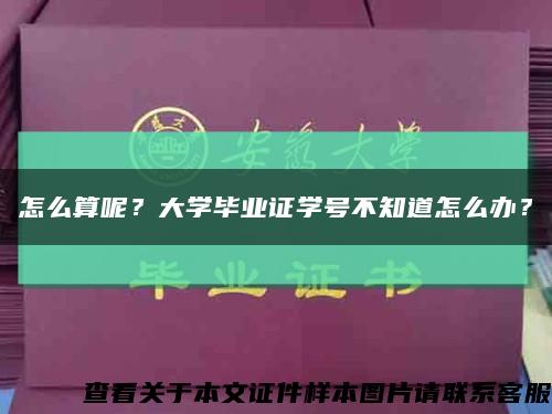 怎么算呢？大学毕业证学号不知道怎么办？缩略图