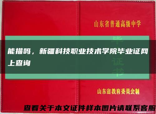 能描吗，新疆科技职业技术学院毕业证网上查询缩略图