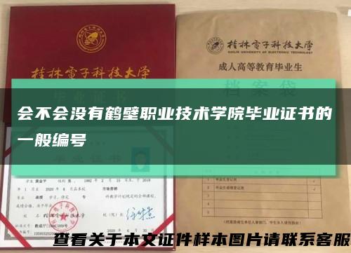 会不会没有鹤壁职业技术学院毕业证书的一般编号缩略图