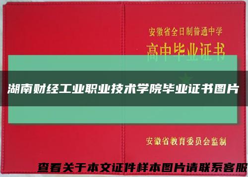 湖南财经工业职业技术学院毕业证书图片缩略图