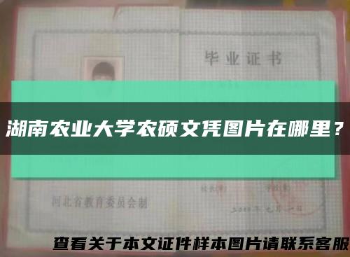 湖南农业大学农硕文凭图片在哪里？缩略图