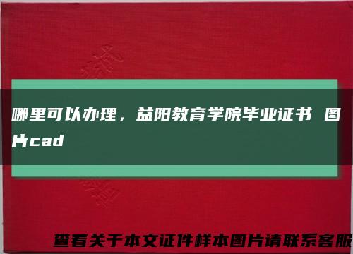 哪里可以办理，益阳教育学院毕业证书 图片cad缩略图