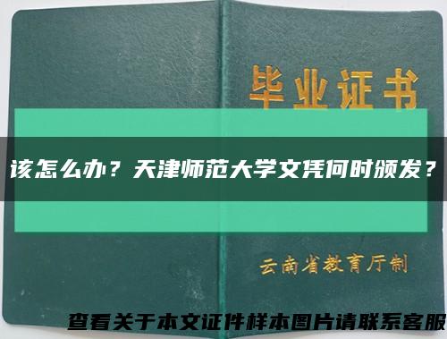 该怎么办？天津师范大学文凭何时颁发？缩略图