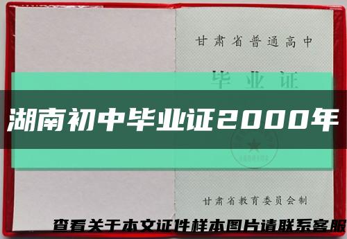 湖南初中毕业证2000年缩略图