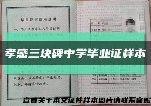 孝感三块碑中学毕业证样本缩略图