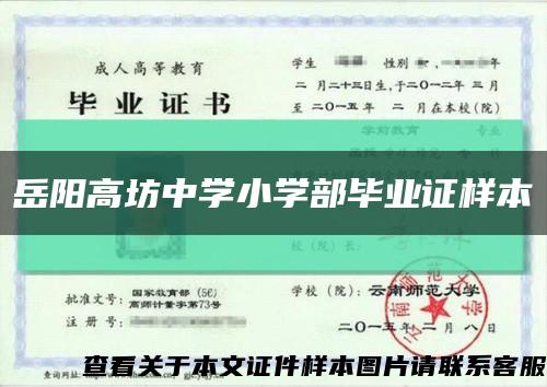 岳阳高坊中学小学部毕业证样本缩略图