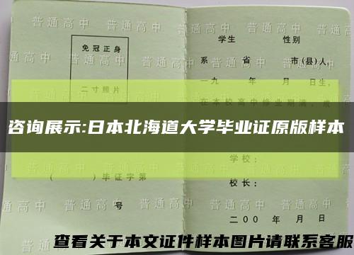 咨询展示:日本北海道大学毕业证原版样本缩略图