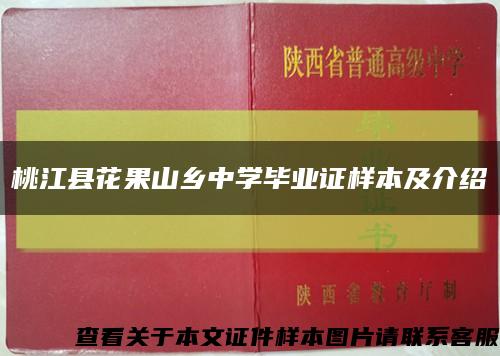 桃江县花果山乡中学毕业证样本及介绍缩略图