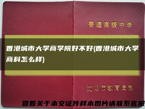 香港城市大学商学院好不好(香港城市大学商科怎么样)缩略图