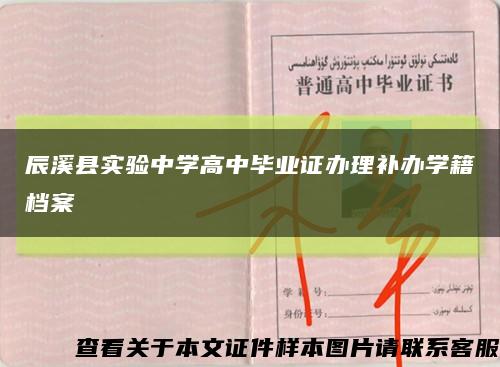 辰溪县实验中学高中毕业证办理补办学籍档案缩略图