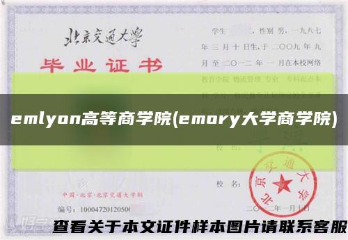 emlyon高等商学院(emory大学商学院)缩略图