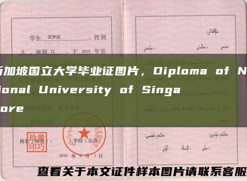 新加坡国立大学毕业证图片，Diploma of National University of Singapore缩略图