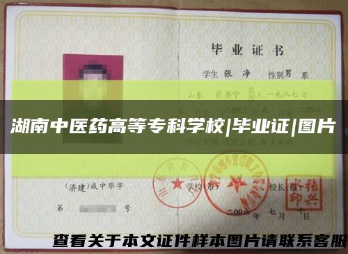 湖南中医药高等专科学校|毕业证|图片缩略图