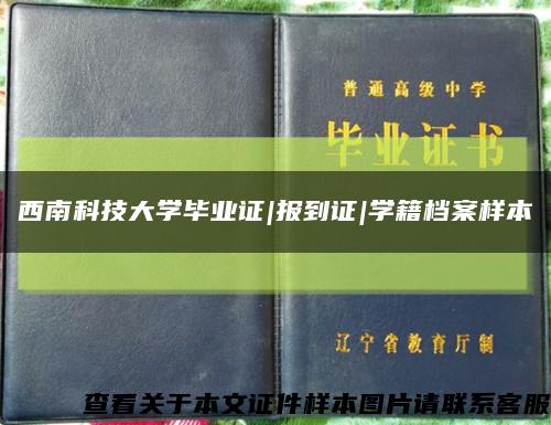 西南科技大学毕业证|报到证|学籍档案样本缩略图