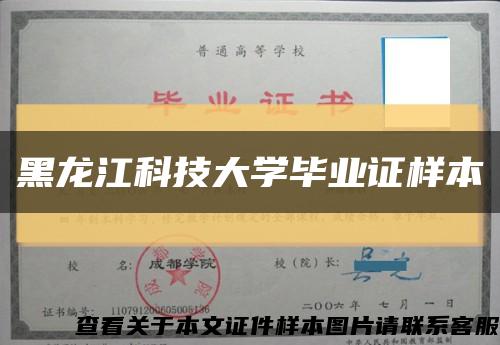 黑龙江科技大学毕业证样本缩略图