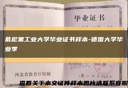 慕尼黑工业大学毕业证书样本-德国大学毕业季缩略图