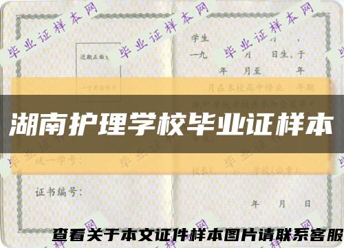 湖南护理学校毕业证样本缩略图