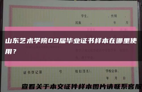 山东艺术学院09届毕业证书样本在哪里使用？缩略图