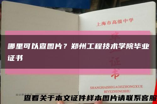 哪里可以查图片？郑州工程技术学院毕业证书缩略图