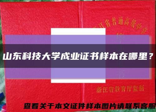 山东科技大学成业证书样本在哪里？缩略图
