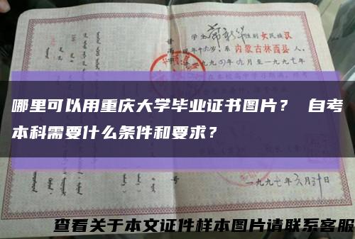 哪里可以用重庆大学毕业证书图片？ 自考本科需要什么条件和要求？缩略图