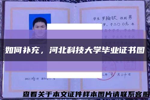 如何补充，河北科技大学毕业证书图缩略图