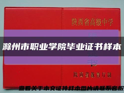 滁州市职业学院毕业证书样本缩略图