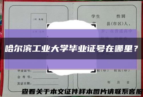 哈尔滨工业大学毕业证号在哪里？缩略图