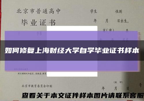 如何修复上海财经大学自学毕业证书样本缩略图