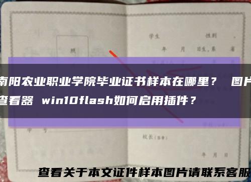 南阳农业职业学院毕业证书样本在哪里？ 图片查看器 win10flash如何启用插件？缩略图