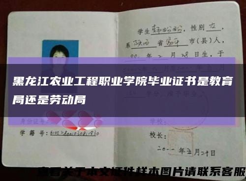 黑龙江农业工程职业学院毕业证书是教育局还是劳动局缩略图