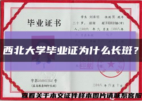 西北大学毕业证为什么长斑？缩略图
