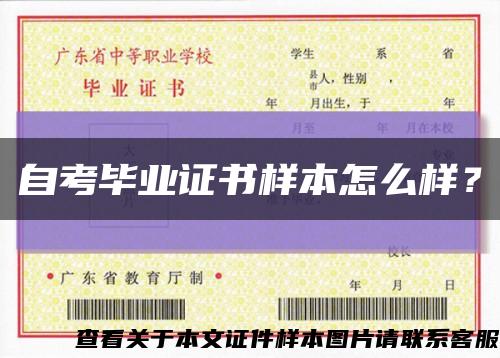 自考毕业证书样本怎么样？缩略图