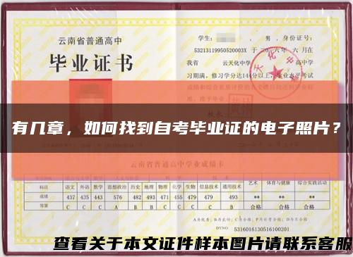 有几章，如何找到自考毕业证的电子照片？缩略图