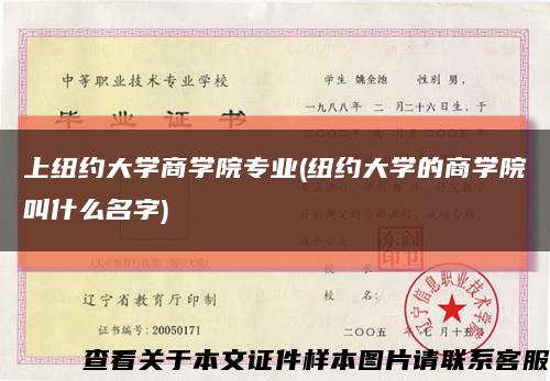 上纽约大学商学院专业(纽约大学的商学院叫什么名字)缩略图