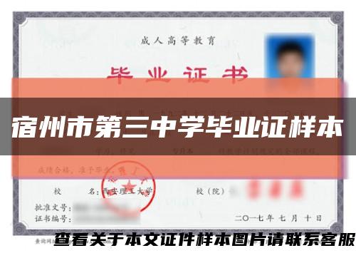 宿州市第三中学毕业证样本缩略图