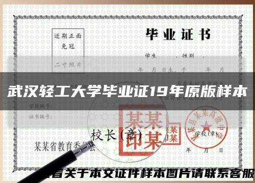 武汉轻工大学毕业证19年原版样本缩略图