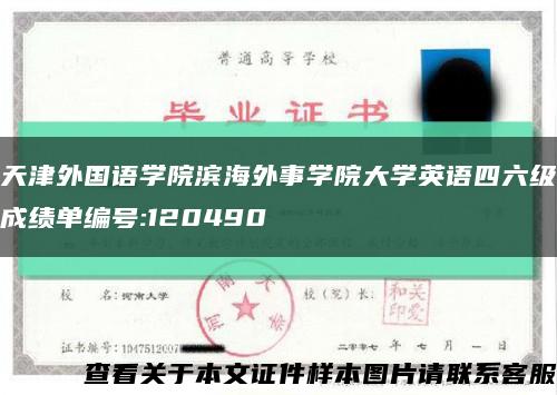 天津外国语学院滨海外事学院大学英语四六级成绩单编号:120490缩略图