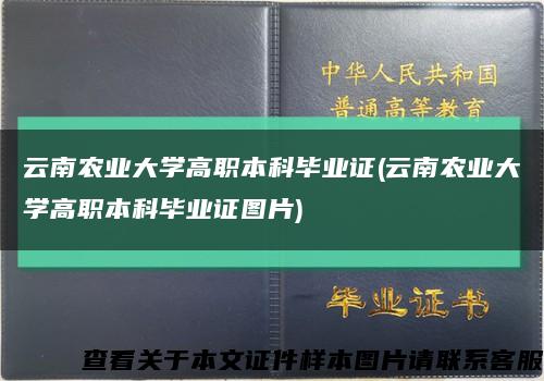 云南农业大学高职本科毕业证(云南农业大学高职本科毕业证图片)缩略图