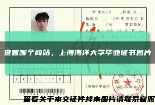 查看哪个网站，上海海洋大学毕业证书图片缩略图