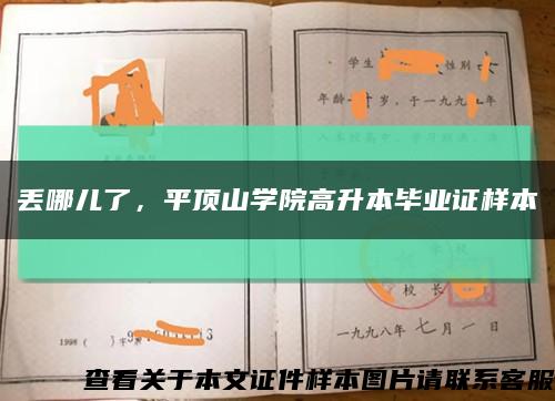 丢哪儿了，平顶山学院高升本毕业证样本缩略图