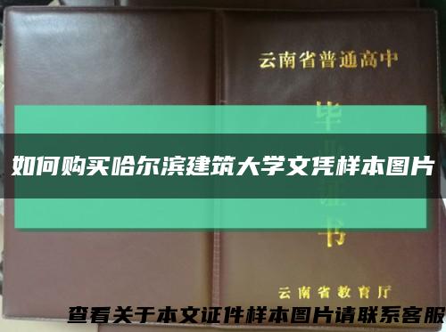 如何购买哈尔滨建筑大学文凭样本图片缩略图