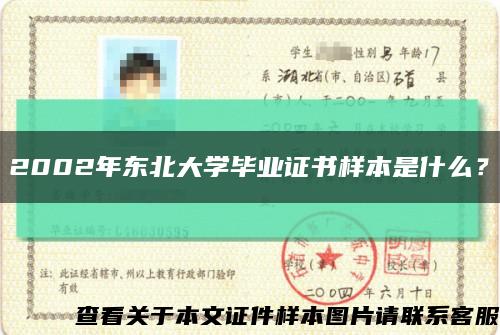 2002年东北大学毕业证书样本是什么？缩略图