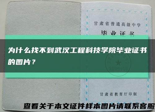 为什么找不到武汉工程科技学院毕业证书的图片？缩略图